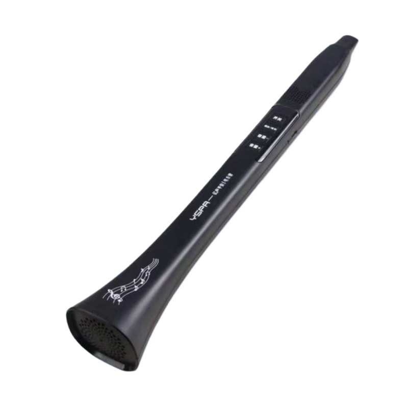 Portable Electronic Wind Instr - Musical Instrument Music recension och pris