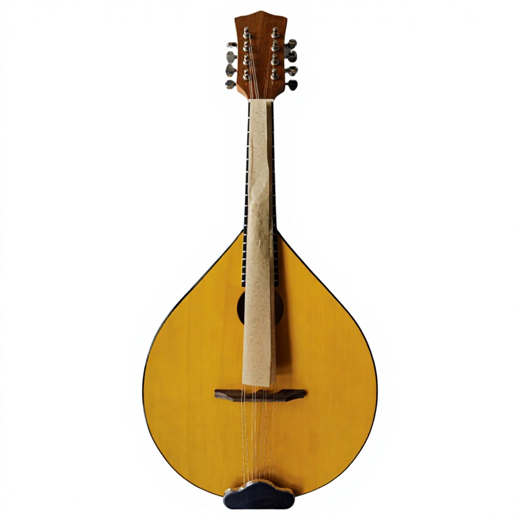 8-String Acoustic Banjo, Bassw - Musical Instrument Banjo recension och pris